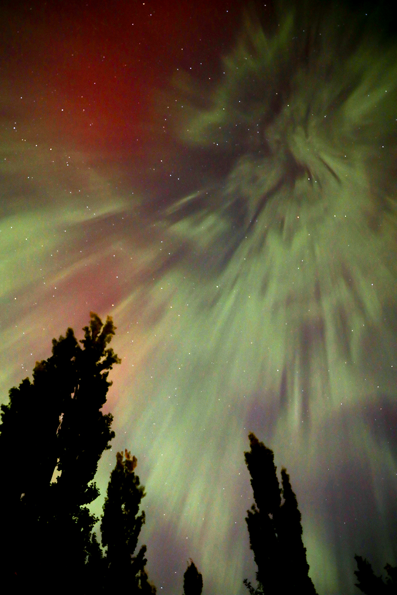From the backyard